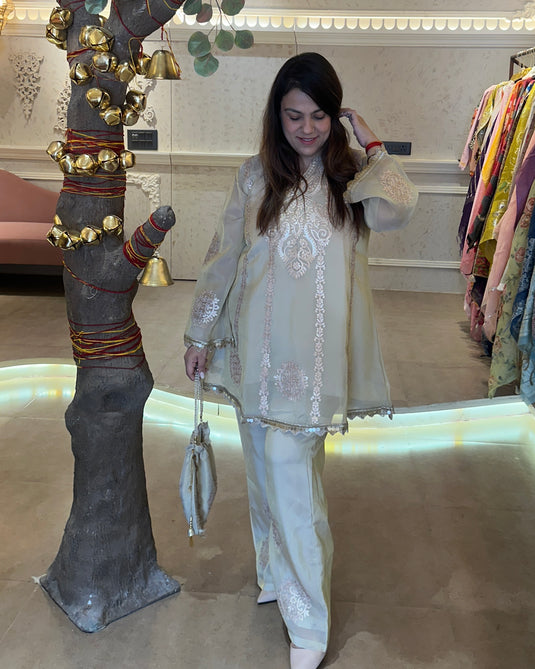 Shimmer organza indo western coord set with sharara pants and potli