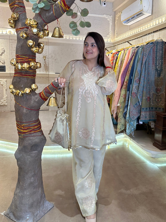 Shimmer organza indo western coord set with sharara pants and potli