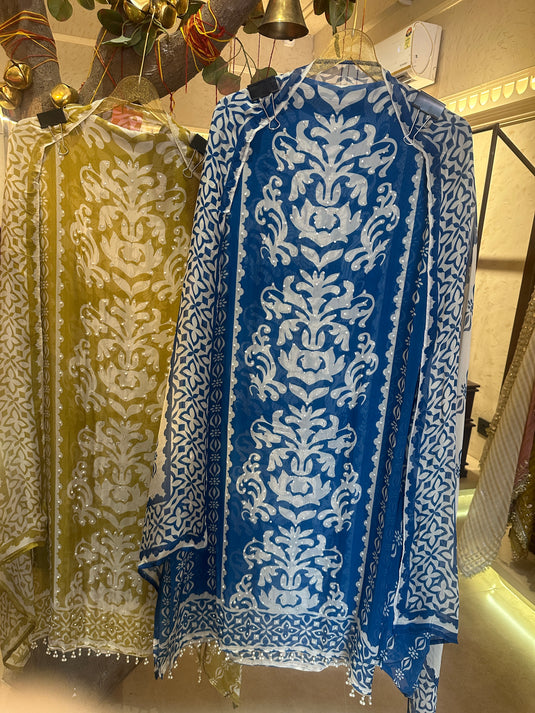 Panel organza suit set with stone highlights