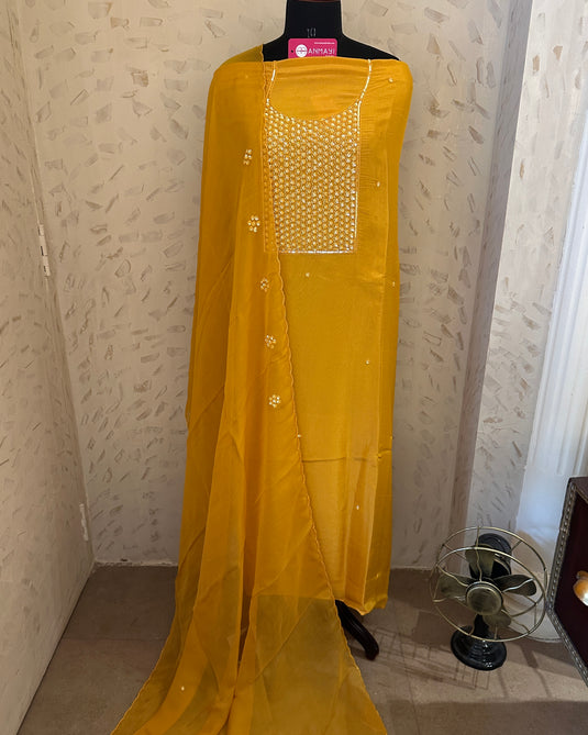 Shimmer tissue embroidered seaquins neck suit set with organza stole