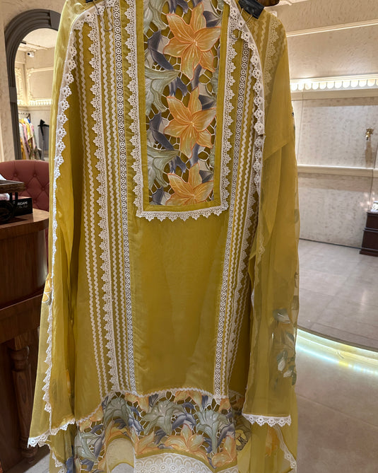 Coloured crochet patch work pure organza suits with handpaint dupatta