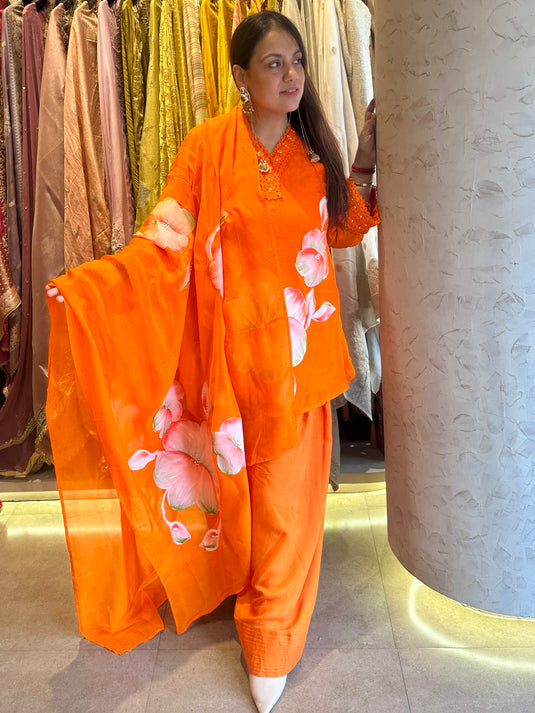 Handpainted organza suit set with farshi salwar