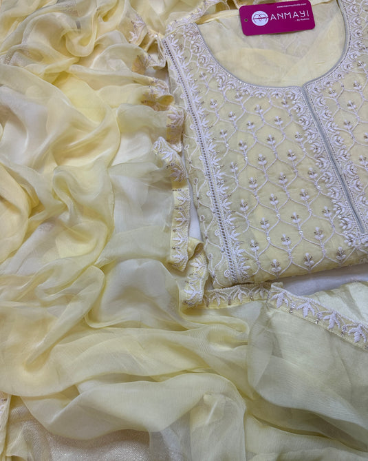 Organza chikan dori Pakistani suit