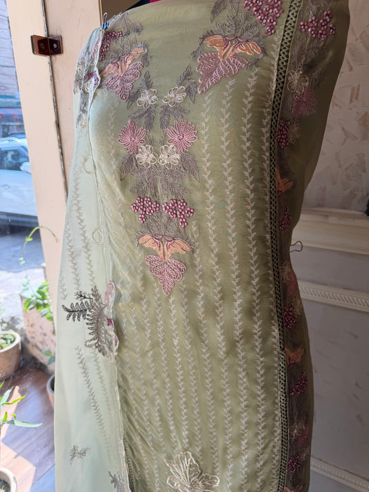 Organza pastel thread work pakistani suit set